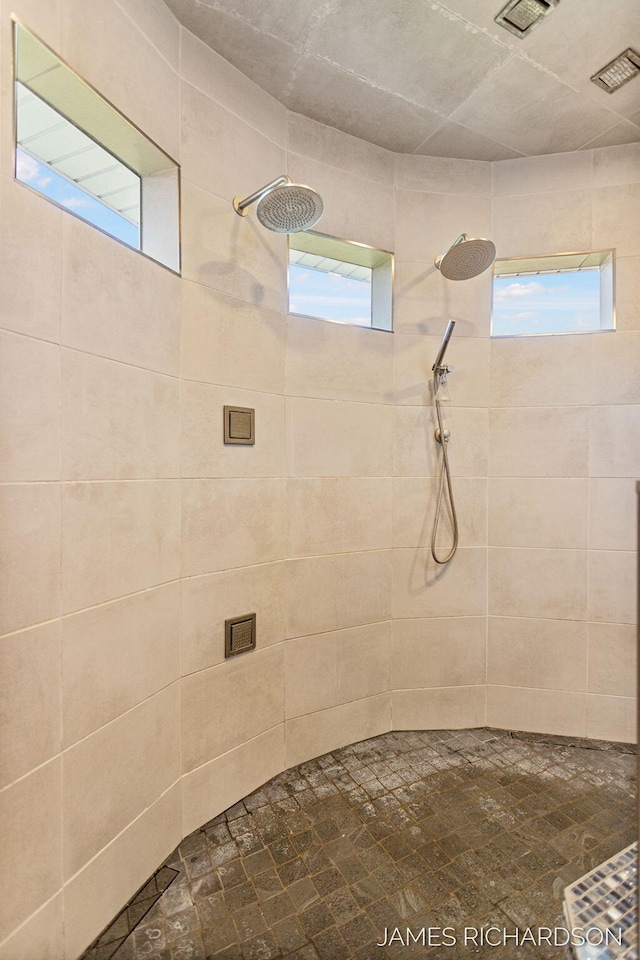 12974 Boulderway Trl, Grand Haven, MI 49417 - bathroom featuring a tile shower