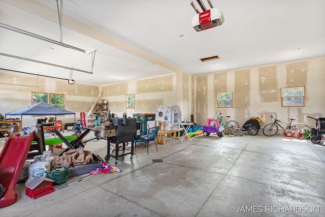 12974 Boulderway Trl, Grand Haven, MI 49417 - garage with a garage door opener