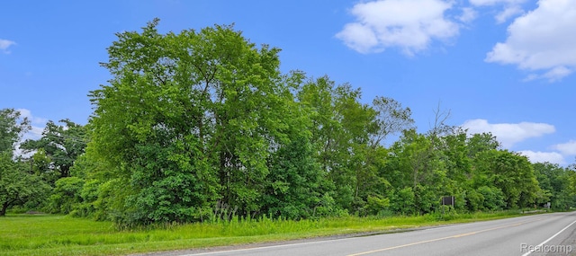 11508 Grand Blanc Rd, Gaines, MI 48436 - view of asphalt road