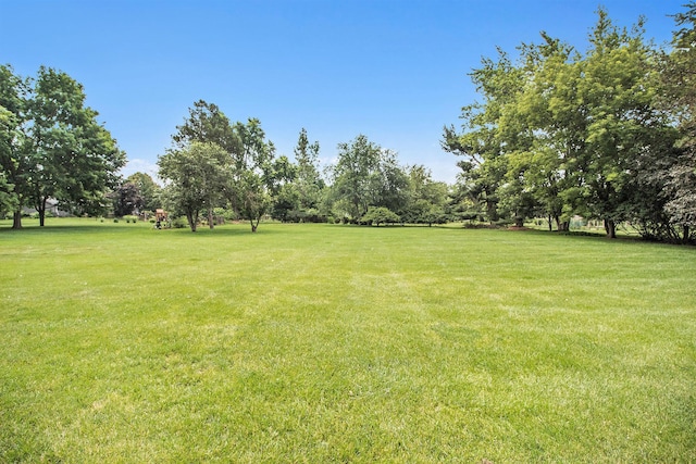 5145 Hensley Dr, Ann Arbor, MI 48103 - view of green lawn