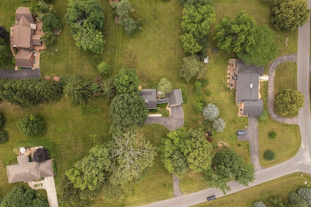 5145 Hensley Dr, Ann Arbor, MI 48103 - photo 82