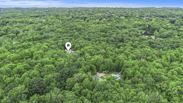 7085 Youngren Rd, Three Oaks, MI 49128 - view from above of property featuring a forest