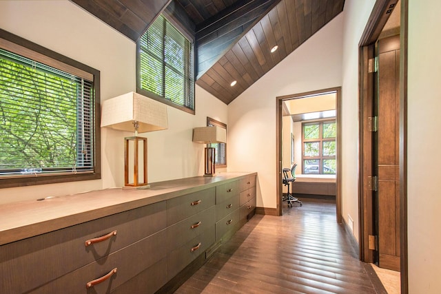 7085 Youngren Rd, Three Oaks, MI 49128 - hall featuring wooden ceiling, healthy amount of natural light, and dark wood-type flooring