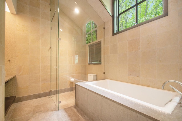 7085 Youngren Rd, Three Oaks, MI 49128 - full bathroom featuring tile walls, a shower stall, vanity, and a bath