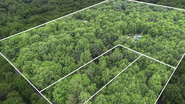 7085 Youngren Rd, Three Oaks, MI 49128 - aerial view of property and surrounding area with a heavily wooded area and property boundaries highlighted