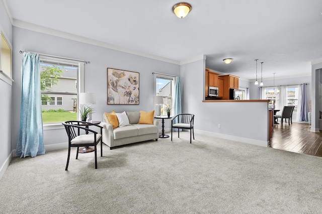 5661 Attleberry Ave, Kalamazoo, MI 49009 - carpeted living room featuring baseboards and crown molding