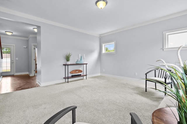 5661 Attleberry Ave, Kalamazoo, MI 49009 - sitting room with carpet and ornamental molding