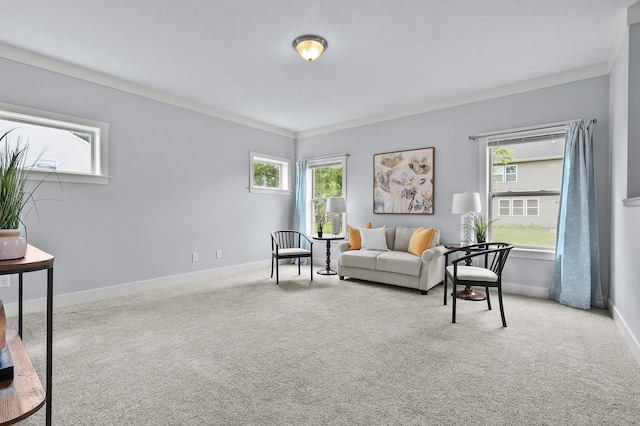 5661 Attleberry Ave, Kalamazoo, MI 49009 - carpeted living room with baseboards and crown molding