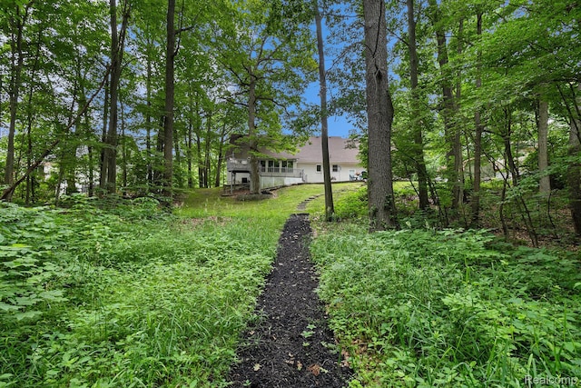 3349 Shimmons Rd, Auburn Hills, MI 48326 - view of yard