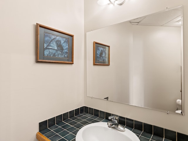 11713 Linderman Rd, Bear Lake, MI 49614 - bathroom with a sink