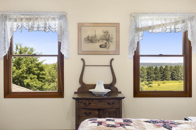 11713 Linderman Rd, Bear Lake, MI 49614 - view of bedroom