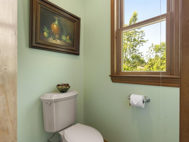 11713 Linderman Rd, Bear Lake, MI 49614 - bathroom featuring toilet
