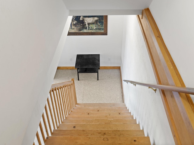 11713 Linderman Rd, Bear Lake, MI 49614 - stairs with carpet flooring
