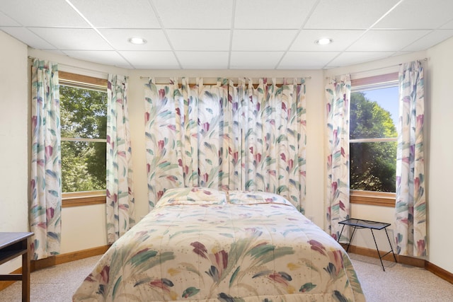11713 Linderman Rd, Bear Lake, MI 49614 - bedroom with a drop ceiling, carpet flooring, and recessed lighting