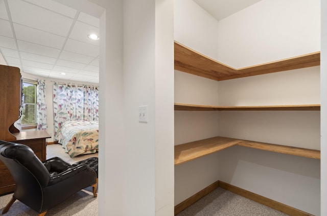11713 Linderman Rd, Bear Lake, MI 49614 - view of pantry