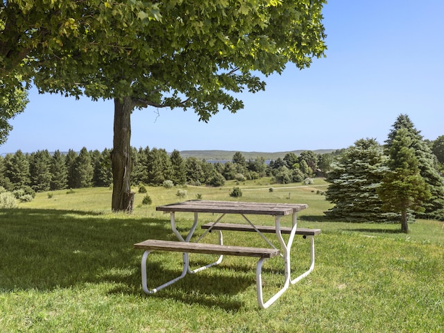 11713 Linderman Rd, Bear Lake, MI 49614 - view of community with a yard