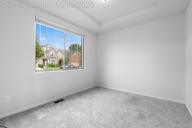 30493 Bradmore Rd, Warren, MI 48092 - carpeted spare room with a tray ceiling