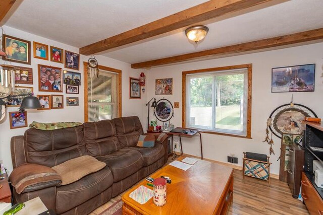 1213 Thomson Rd, Niles, MI 49120 - living area featuring light wood-style floors and beam ceiling