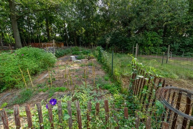 1213 Thomson Rd, Niles, MI 49120 - view of yard featuring a vegetable garden