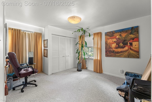 21280 Mada Ave, Southfield, MI 48075 - office area featuring carpet floors