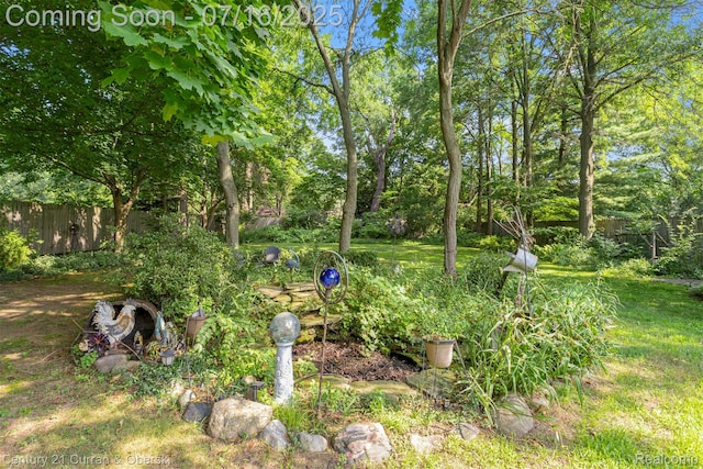 21280 Mada Ave, Southfield, MI 48075 - view of yard