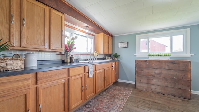 18216 S Schwark Rd, Three Oaks, MI 49128 - kitchen featuring backsplash, dark wood-style floors, dark countertops, brown cabinets, and crown molding
