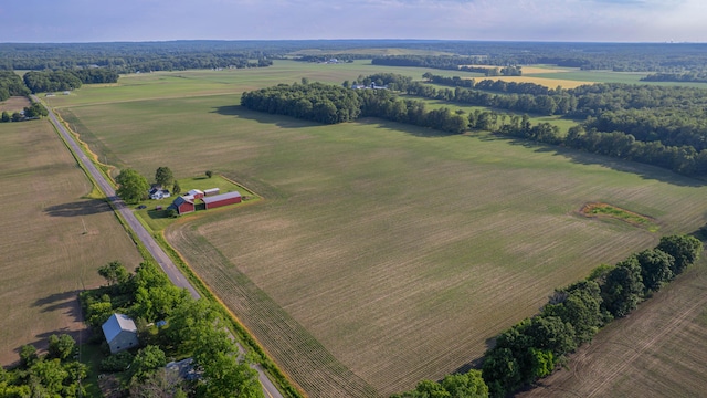 18216 S Schwark Rd, Three Oaks, MI 49128 - aerial view of sparsely populated area with farmland