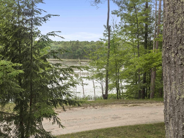 4382 S Vandervoight, Traverse City, MI 49696 - water view with a heavily wooded area