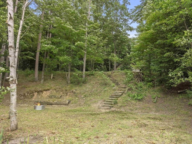 4382 S Vandervoight, Traverse City, MI 49696 - view of yard featuring stairs