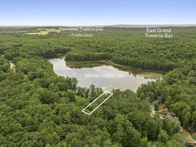 4382 S Vandervoight, Traverse City, MI 49696 - bird's eye view of a heavily wooded area and a large body of water