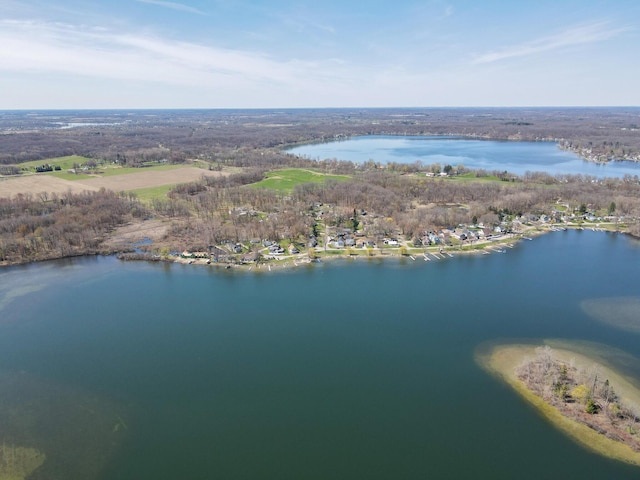 252 Evans Trl, Tipton, MI 49287 - photo 51