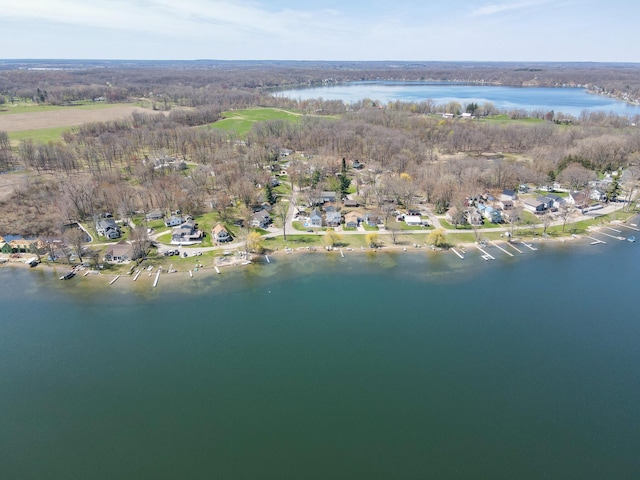 252 Evans Trl, Tipton, MI 49287 - photo 52