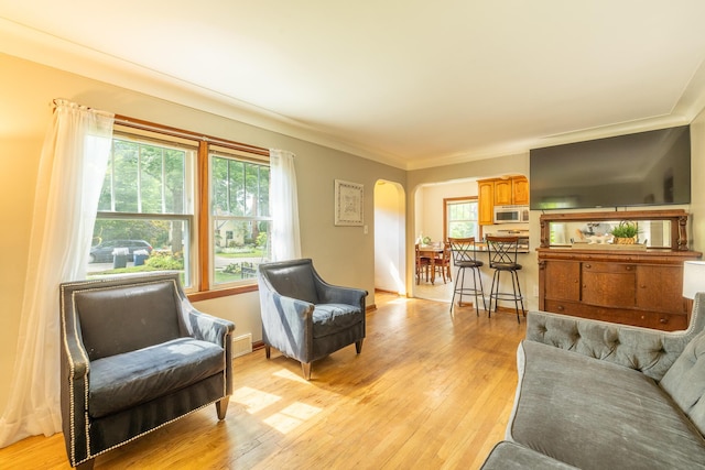 803 5th St, Ann Arbor, MI 48103 - photo 4