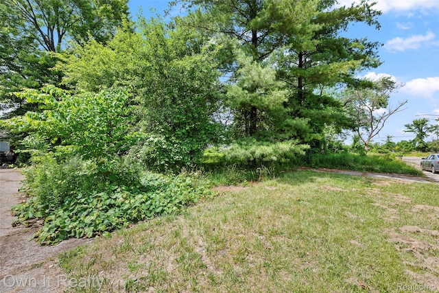 17169 Harlow St, Detroit, MI 48235 - photo 21