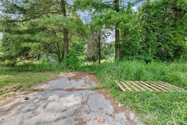 17169 Harlow St, Detroit, MI 48235 - photo 20