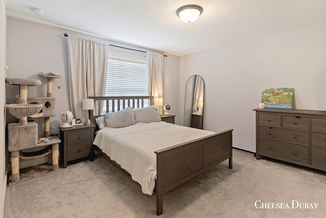 611 Bedford Falls Dr, Sparta, MI 49345 - bedroom featuring light carpet