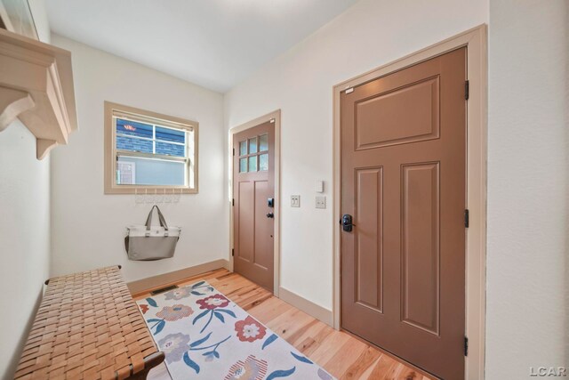 4078 Woodland Ave, Manitou Beach, MI 49253 - entrance foyer featuring light wood-style floors and baseboards