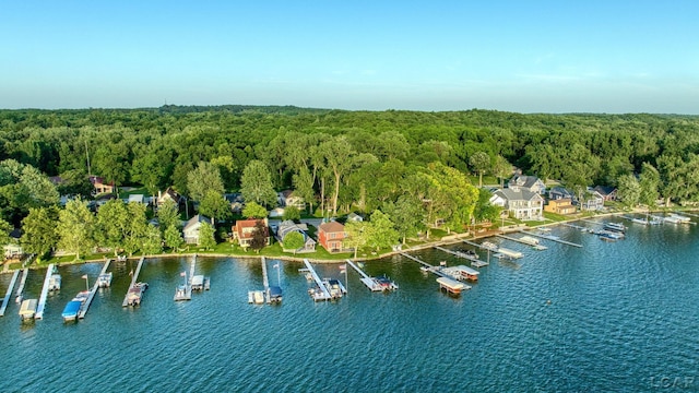 4078 Woodland Ave, Manitou Beach, MI 49253 - view of property location featuring a heavily wooded area and a nearby body of water