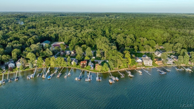 4078 Woodland Ave, Manitou Beach, MI 49253 - aerial view of property's location with a forest and a nearby body of water