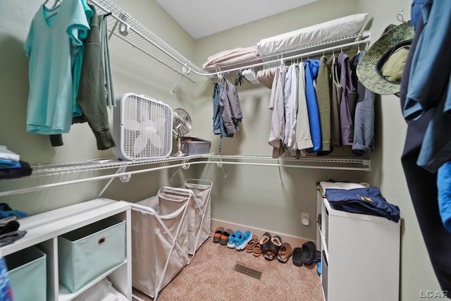4078 Woodland Ave, Manitou Beach, MI 49253 - spacious closet with carpet