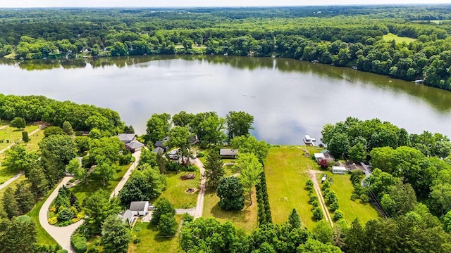 10353 S Chapin Ln, Berrien Springs, MI 49103 - photo 3