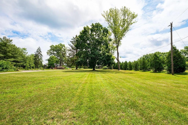 10353 S Chapin Ln, Berrien Springs, MI 49103 - photo 23