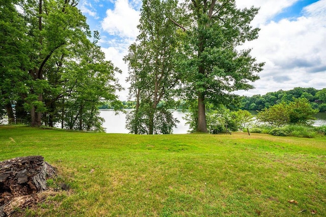 10353 S Chapin Ln, Berrien Springs, MI 49103 - photo 4