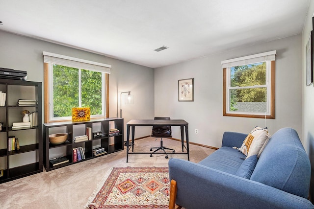 2211 Skyline Dr NW, Grand Rapids, MI 49504 - office area with plenty of natural light and carpet flooring