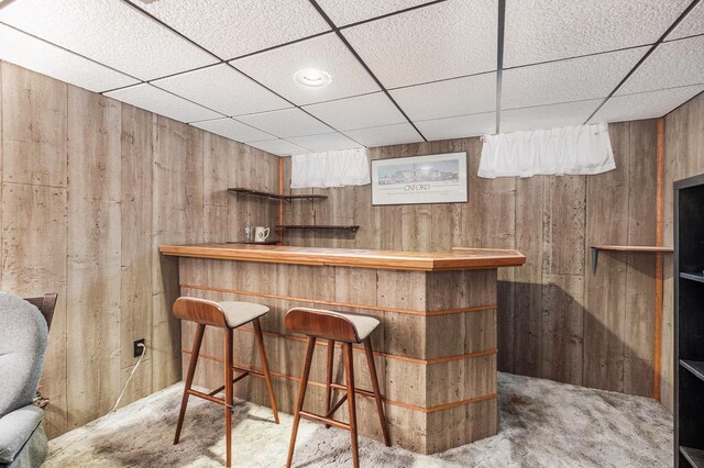 2211 Skyline Dr NW, Grand Rapids, MI 49504 - indoor dry bar featuring a drop ceiling, wooden walls, and carpet floors