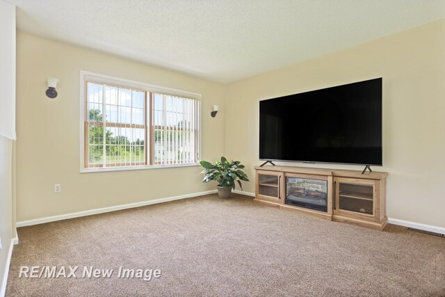 3535 Hermansau Dr, Saginaw, MI 48603 - photo 9