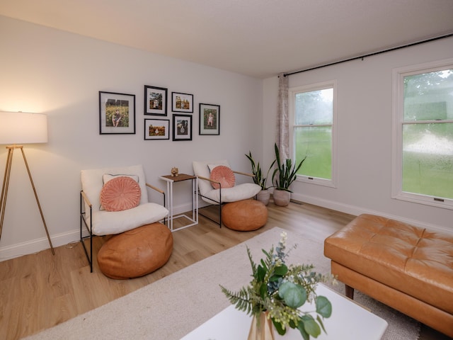 3002 Applelane Ave, Kalamazoo, MI 49008 - sitting room featuring wood finished floors and plenty of natural light