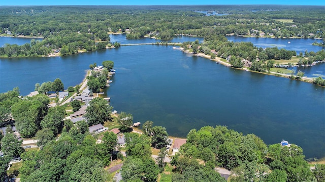 10520 Maple Xing, Canadian Lakes, MI 49346 - bird's eye view of a nearby body of water