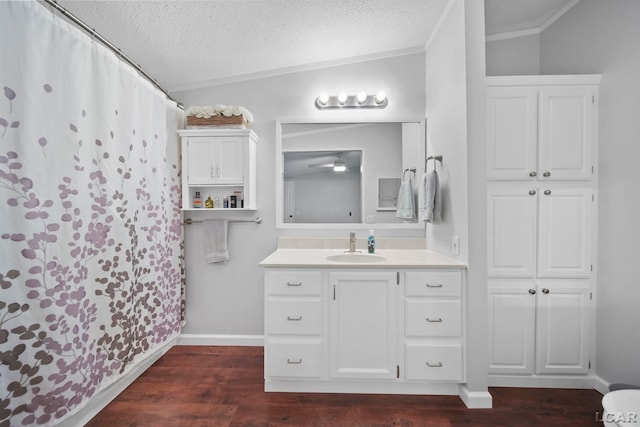5390 Parkwood Ct, Manitou Beach, MI 49253 - bathroom featuring vanity, ornamental molding, a textured ceiling, wood finished floors, and curtained shower