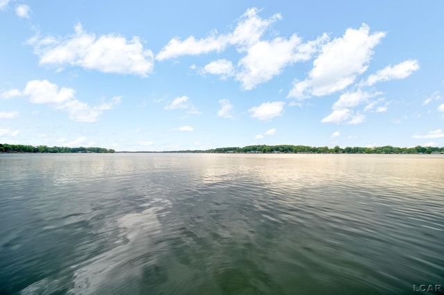 5390 Parkwood Ct, Manitou Beach, MI 49253 - water view